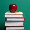 School Curriculum and Standards