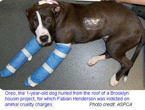 Oreo, dog thrown off roof by Brooklyn man Fabian Henderson